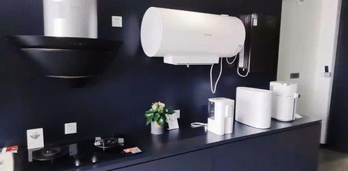 报名开启！2020年顺德参与式预算项目采风及设计服务邀您共绘民生蓝图