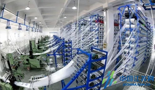 小工厂里的大作为——记高港区党外代表人士王宏贵与他的软件开发之路